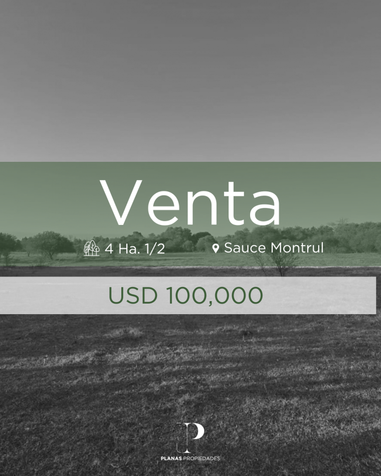 SE VENDEN 4 HECTAREAS Y 1/2 EN SAUCE MONTRUL