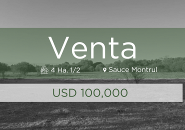 SE VENDEN 4 HECTAREAS Y 1/2 EN SAUCE MONTRUL